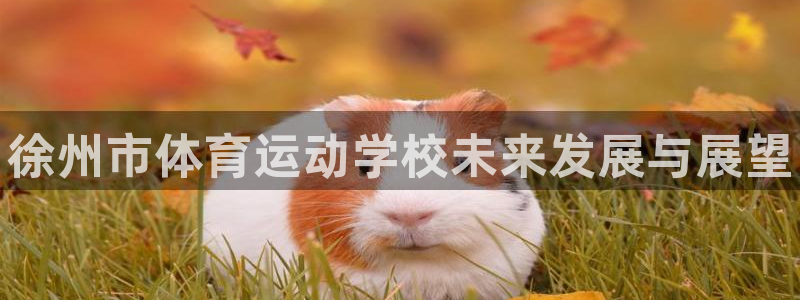 yy易游官方正版app集团官网网址:徐州市体育运动学校未来发