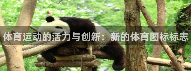 yy易游官网下载招商电话是多少:体育运动的活力与创新:新的体