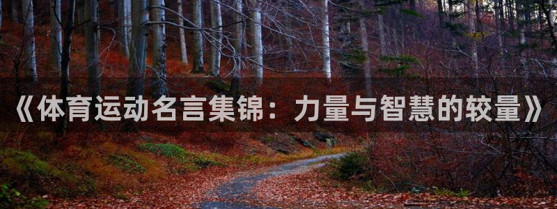 yy易游官方正版app集团:《体育运动名言集锦:力量与智慧的