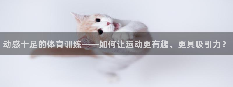 yy易游官网下载招商电话是多少号码:动感十足的体育训练——如